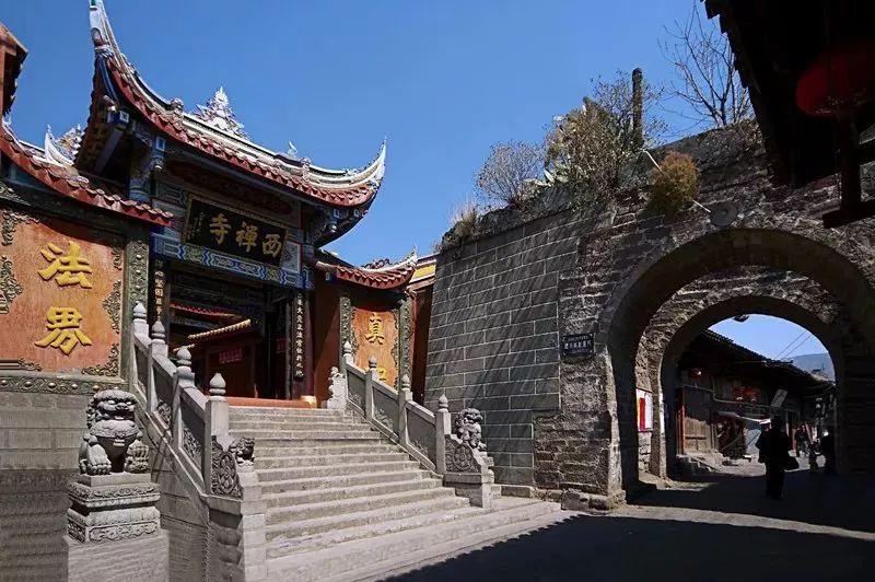 救援达尔马提亚狗